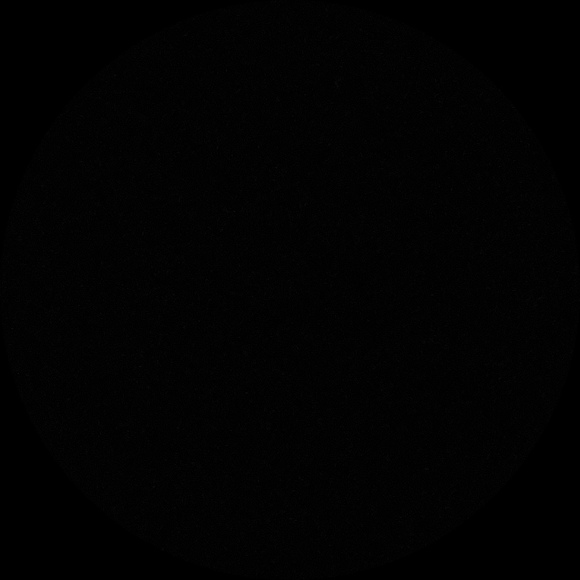cestlavie6717